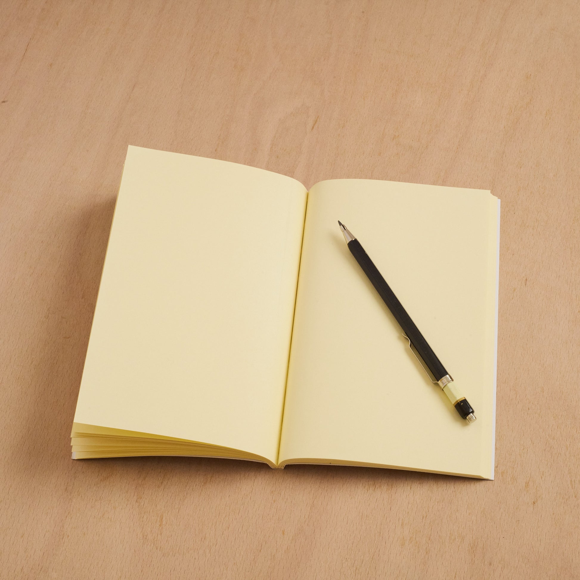 Advent Birds Notebook