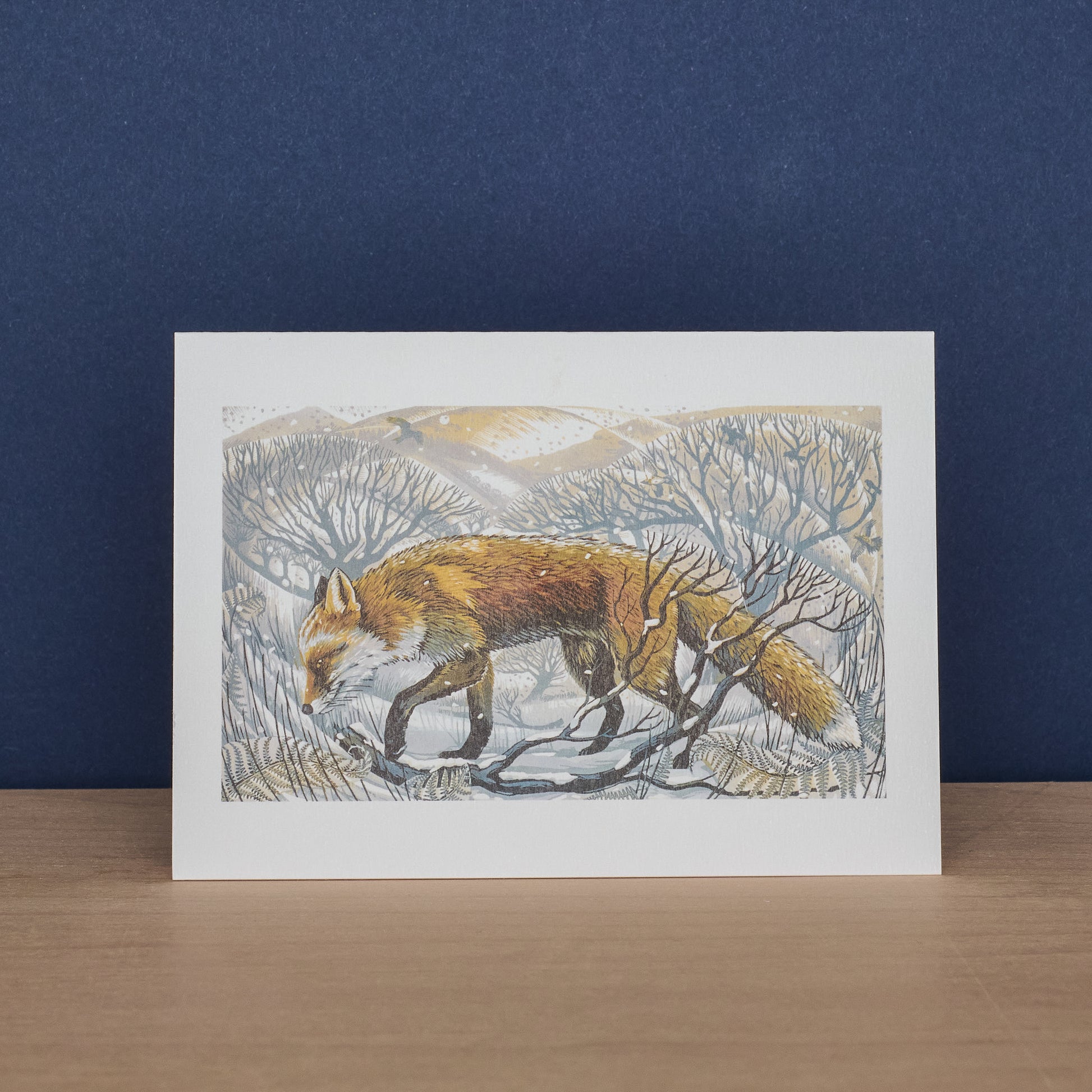 Barn Owl and Winter Fox