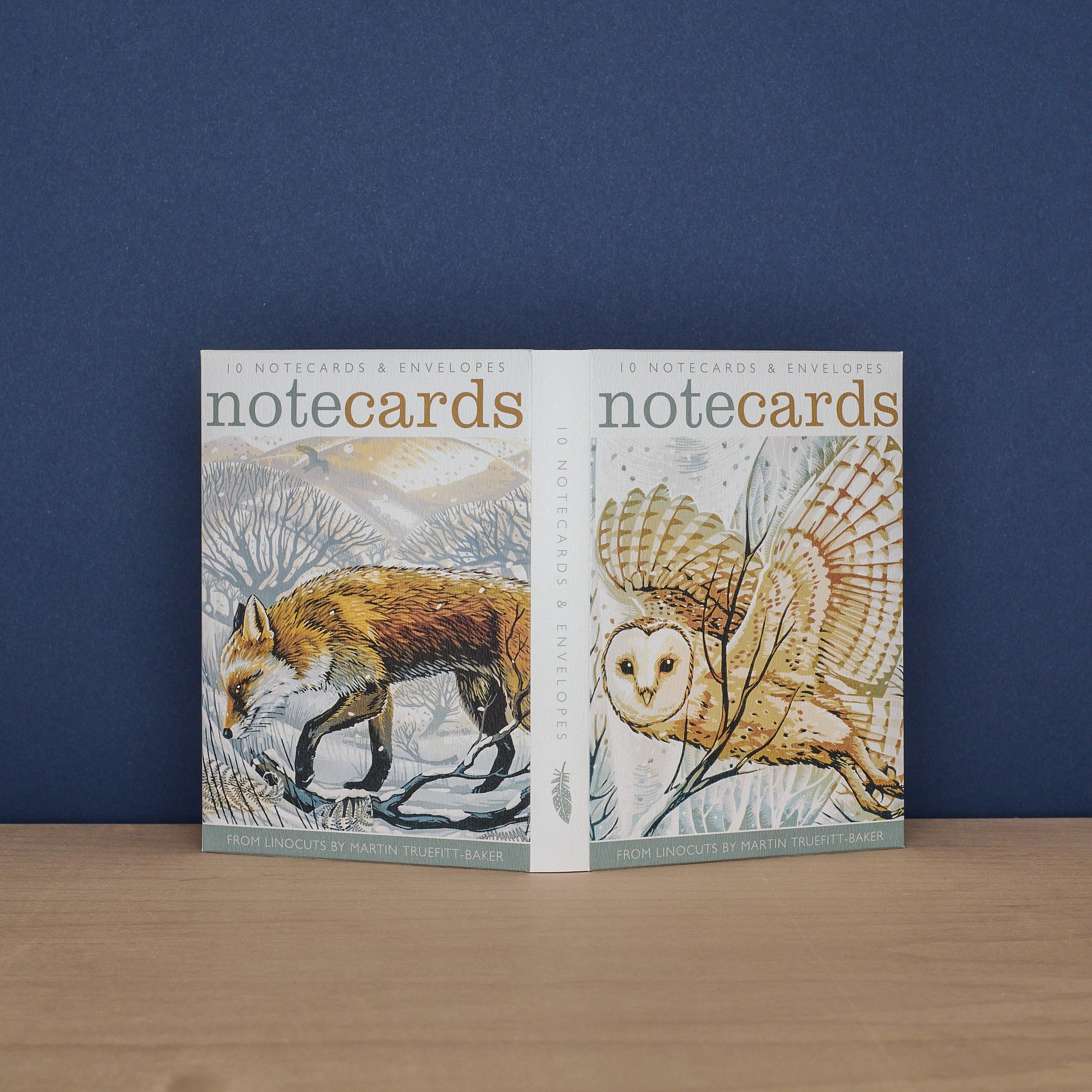 Barn Owl and Winter Fox