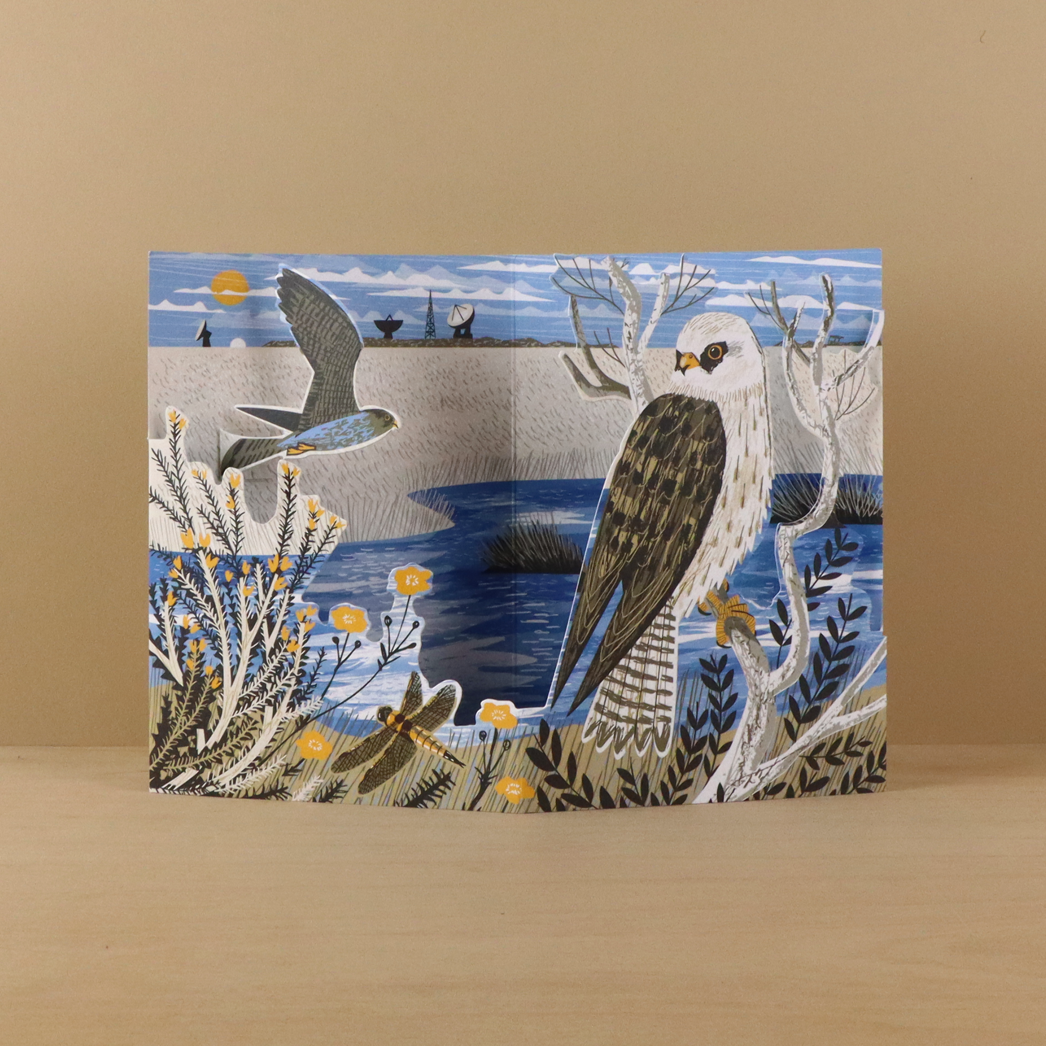 Goonhilly Red-Footed Falcons