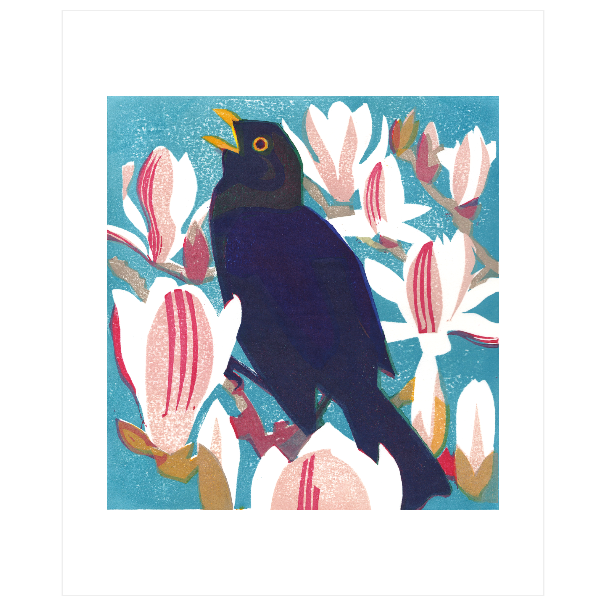 Magnolia