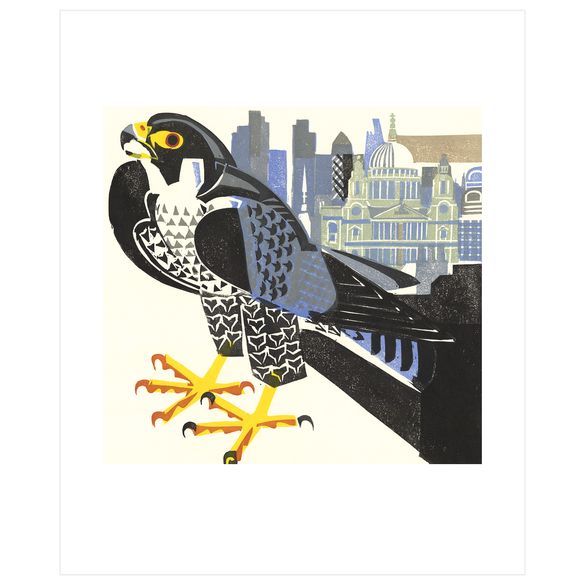 Peregrine