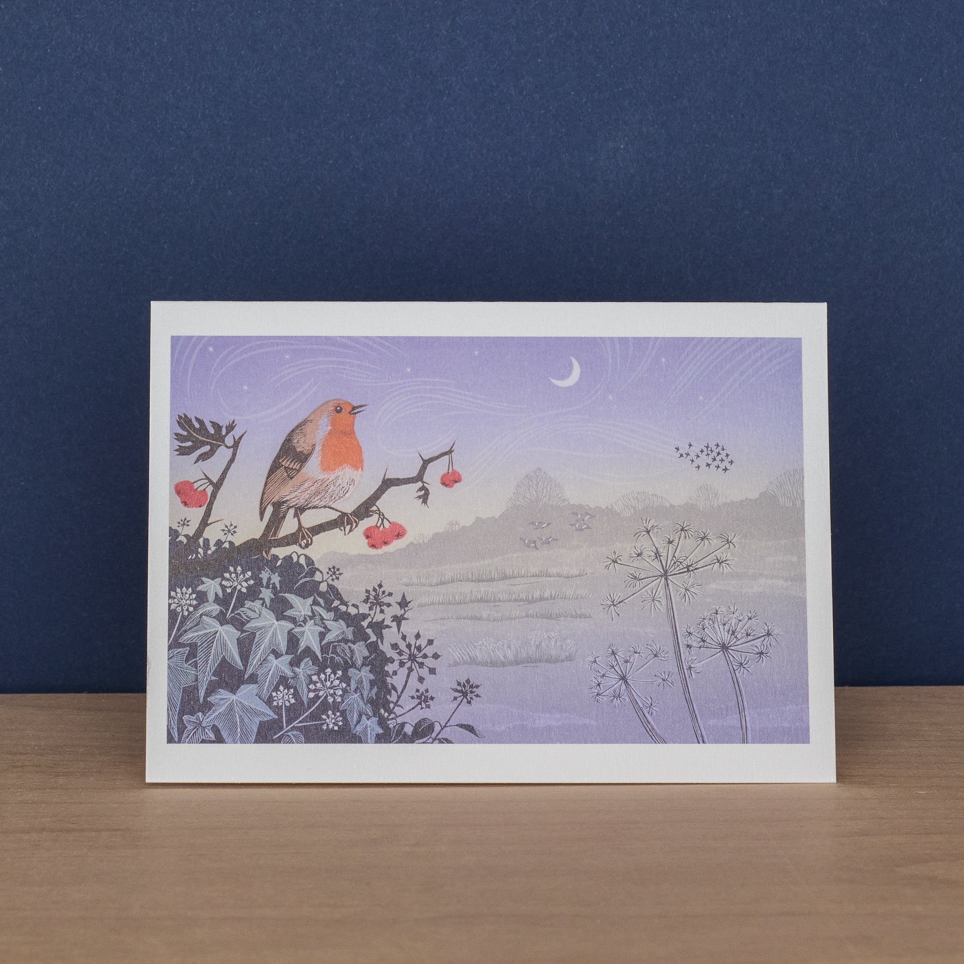 Snow Flight and Winter Solstice