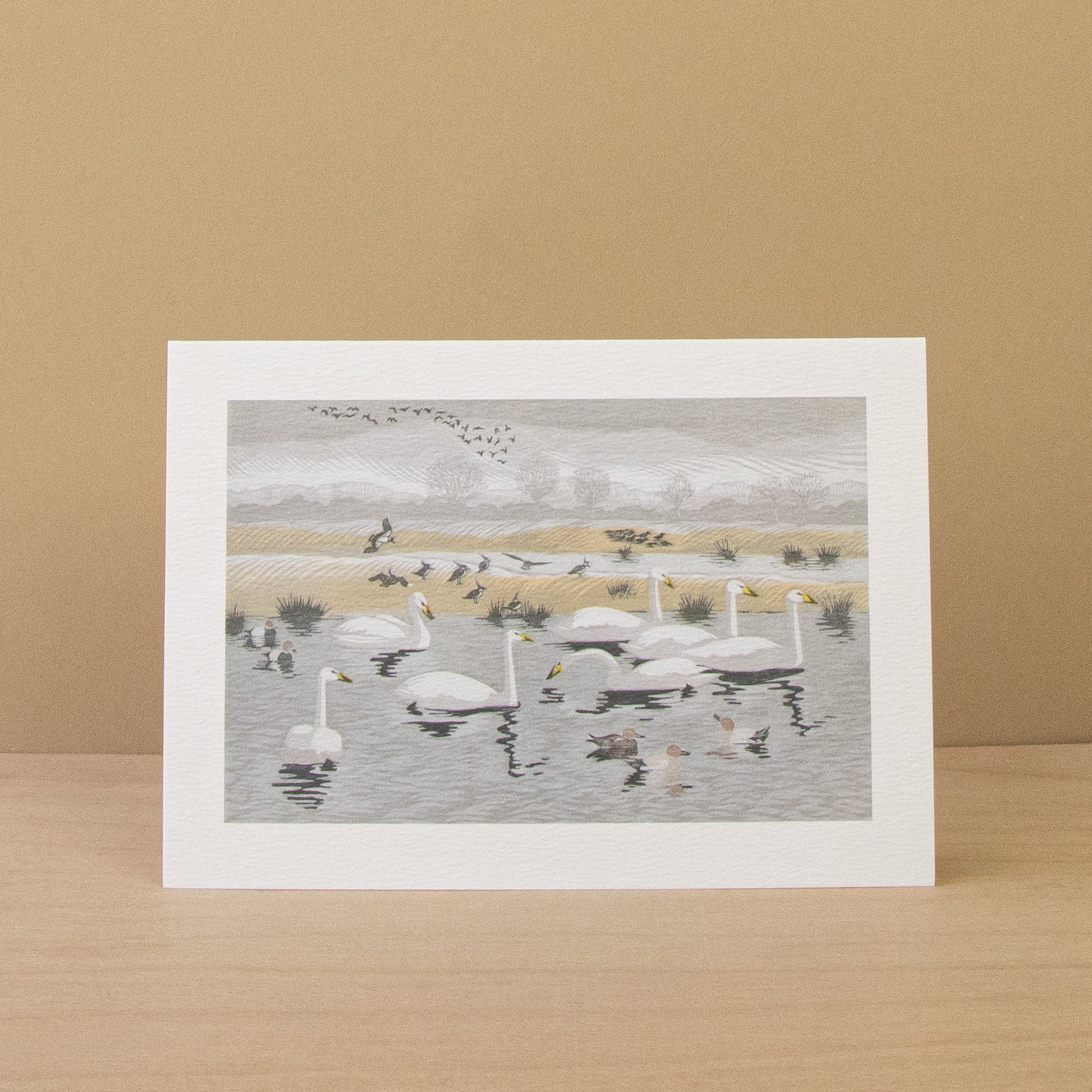 Snow Starlings & Seven Swans