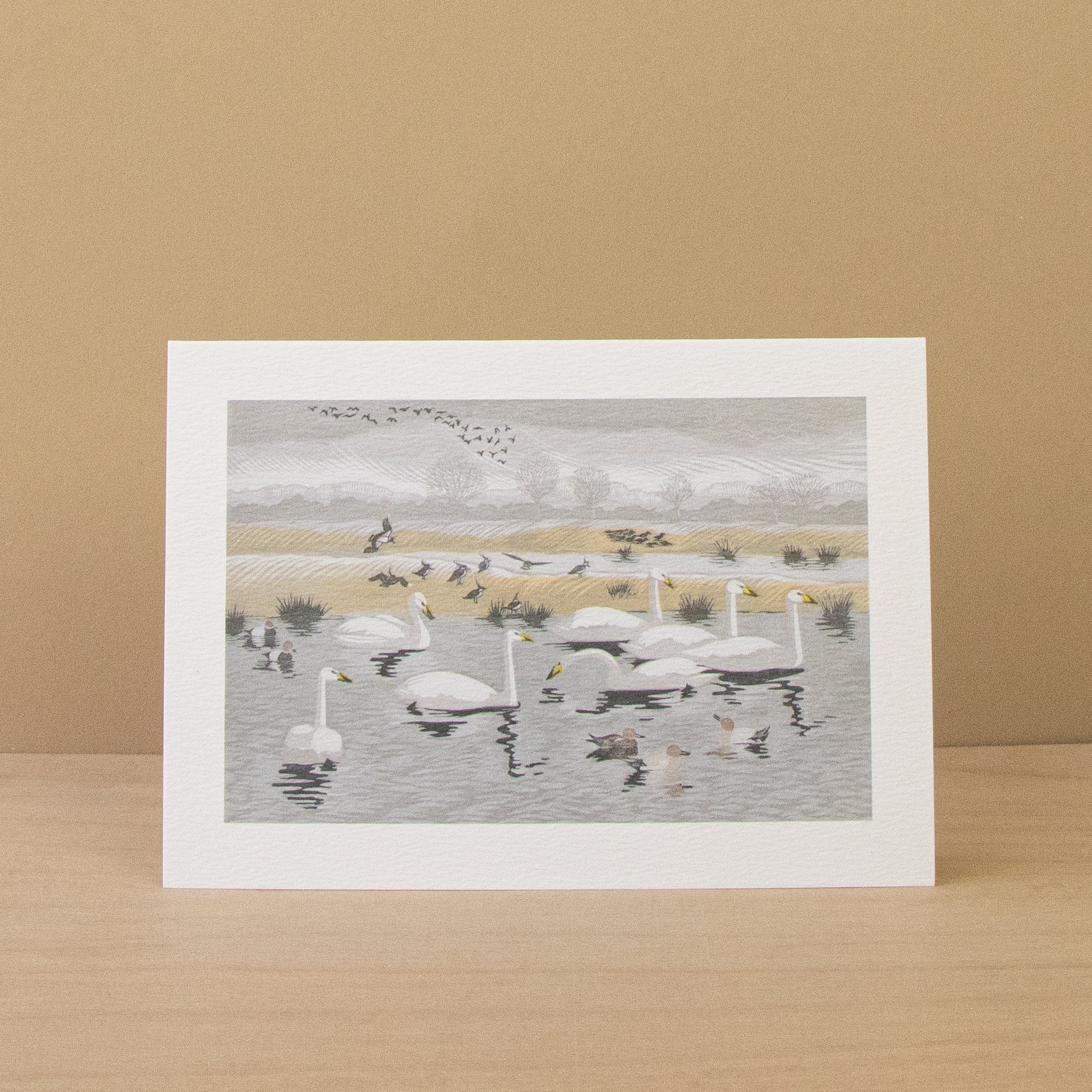 Snow Starlings & Seven Swans