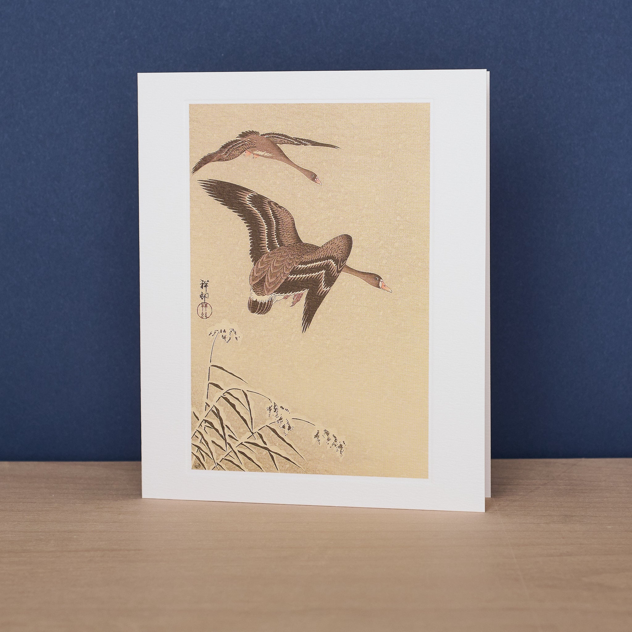 Two White Fronted Geese Flying in Snow