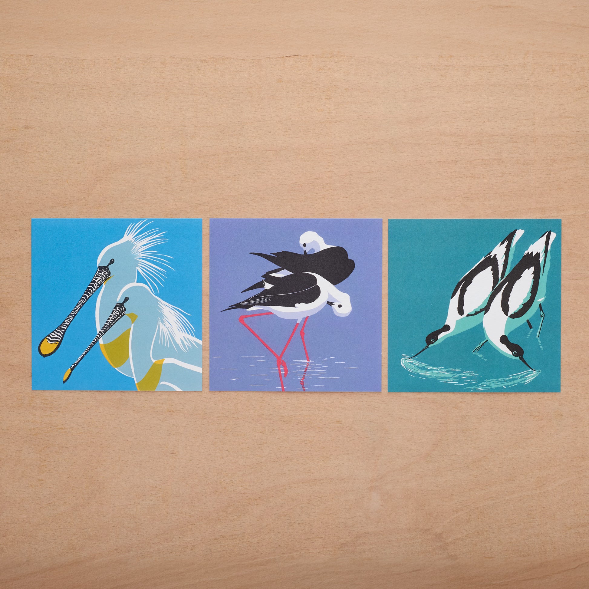 Wildlife Postcard Wallet