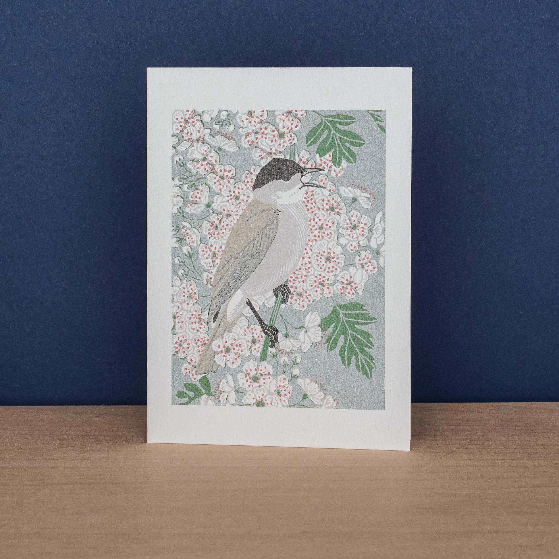 Rg Blackbird/ Blackcap Nl