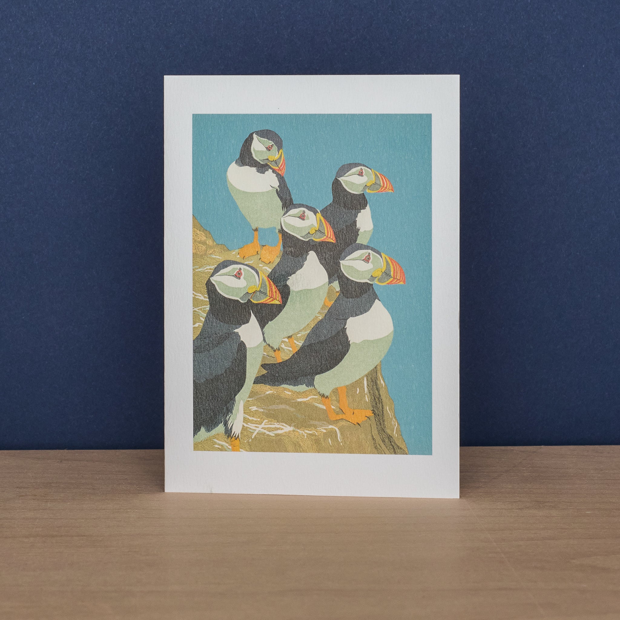 Puffins and Whooper Swans