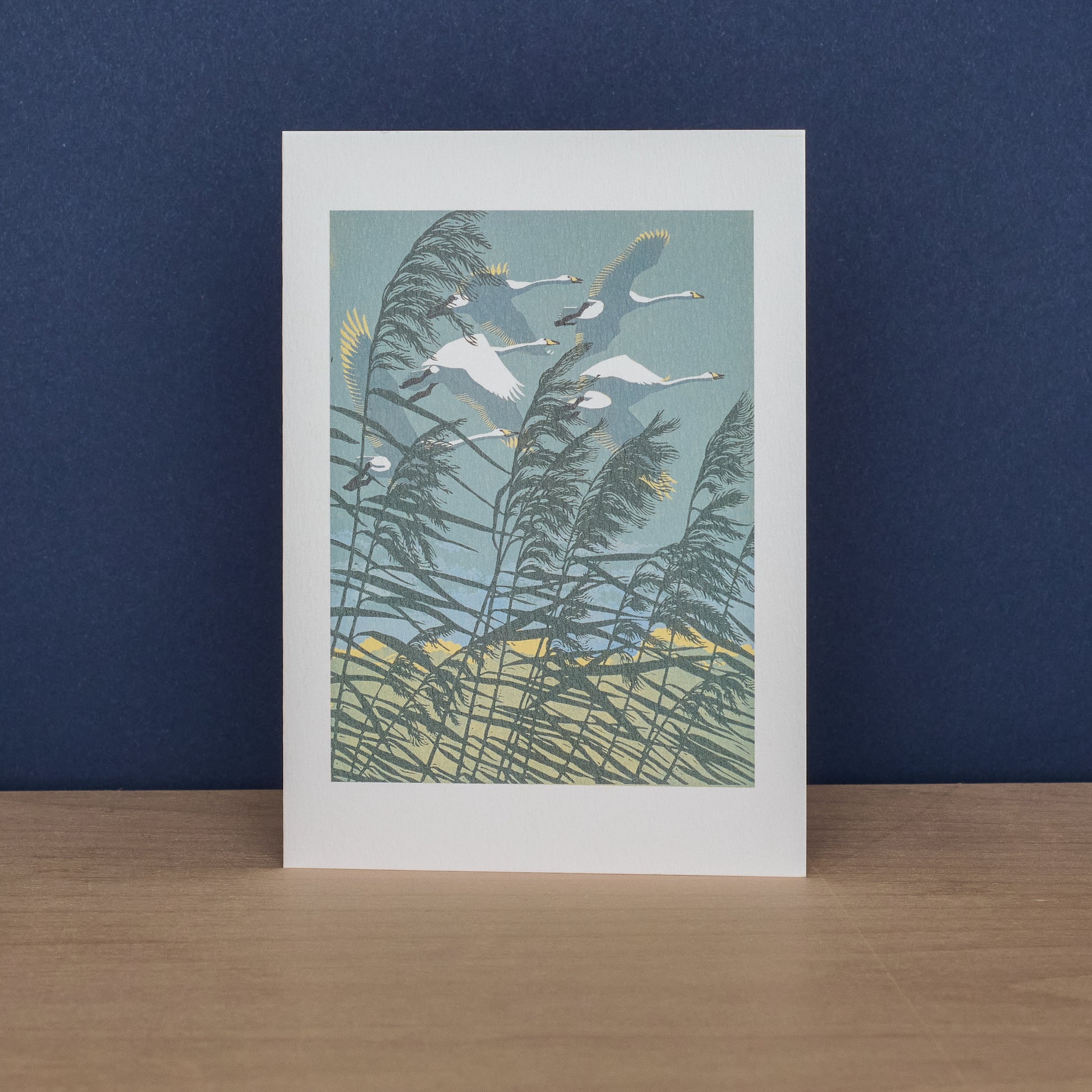 Puffins and Whooper Swans