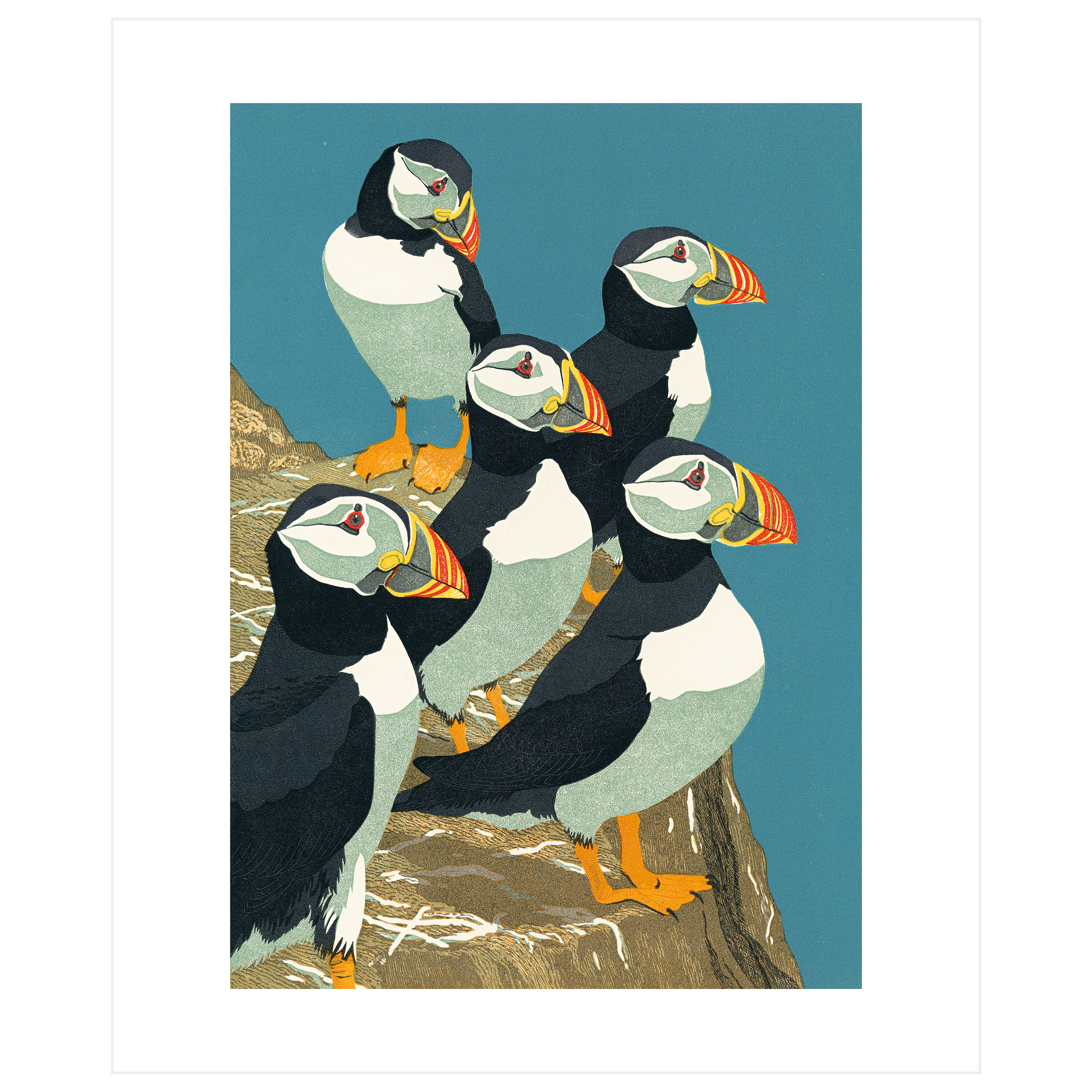 Puffins