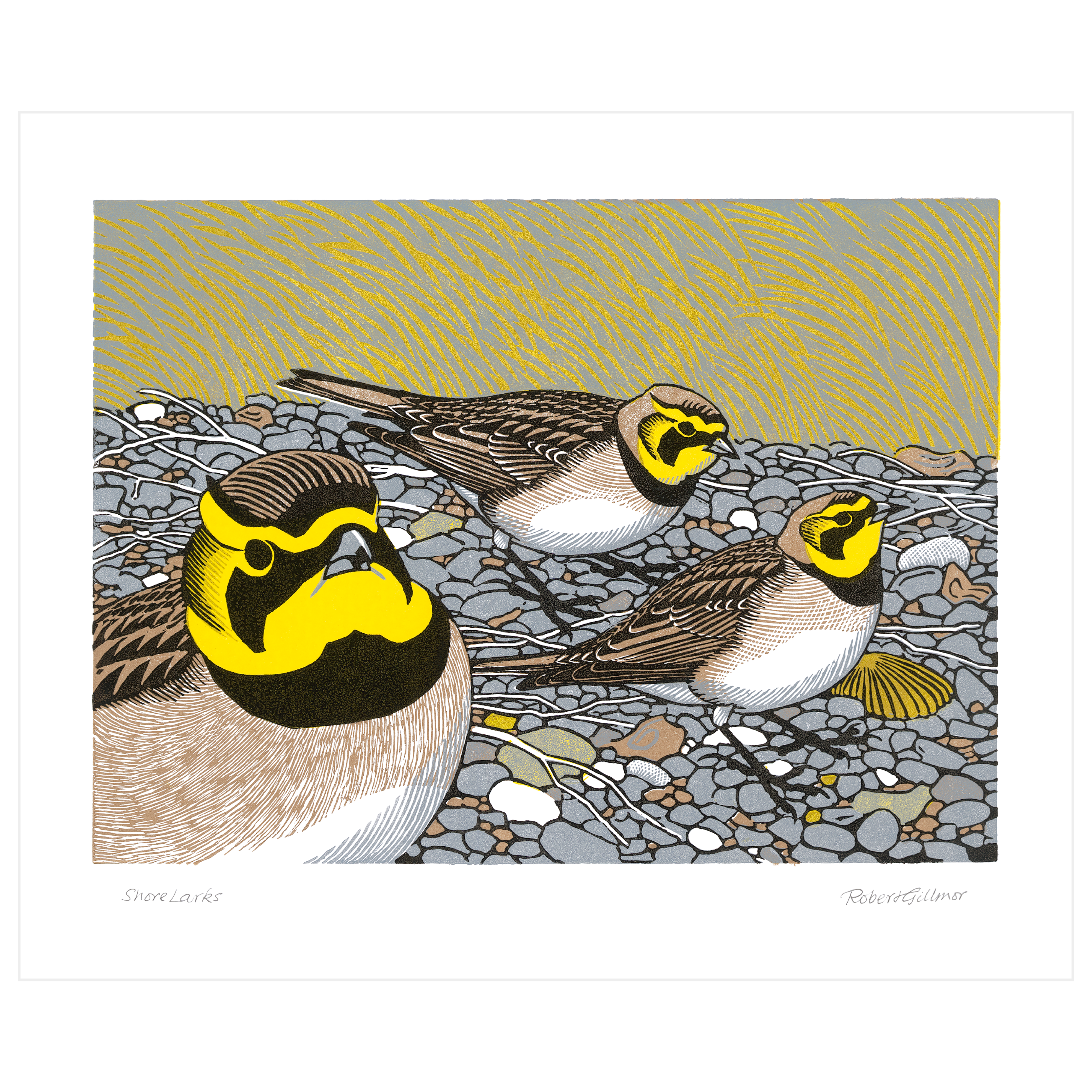 Shorelarks
