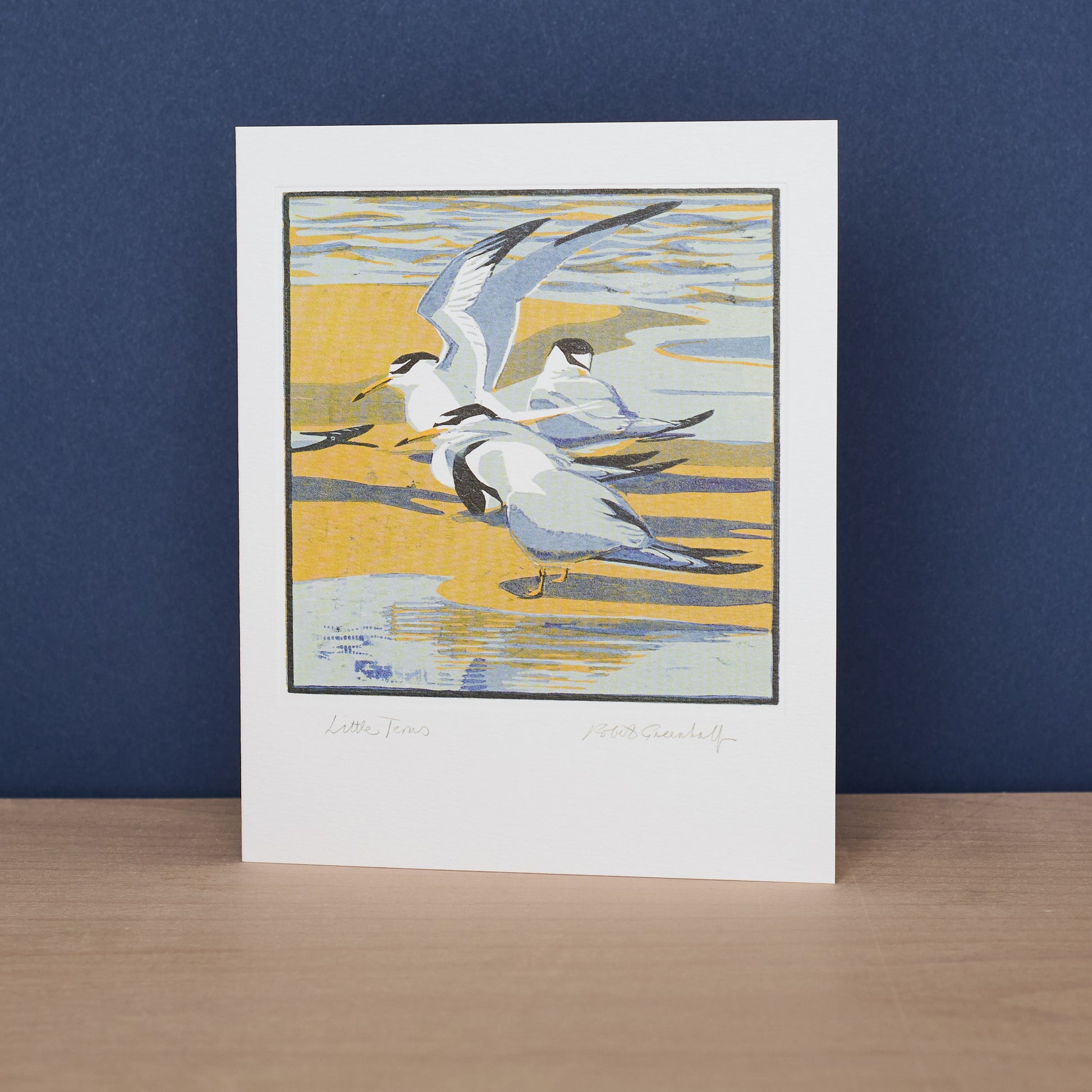 Little Terns