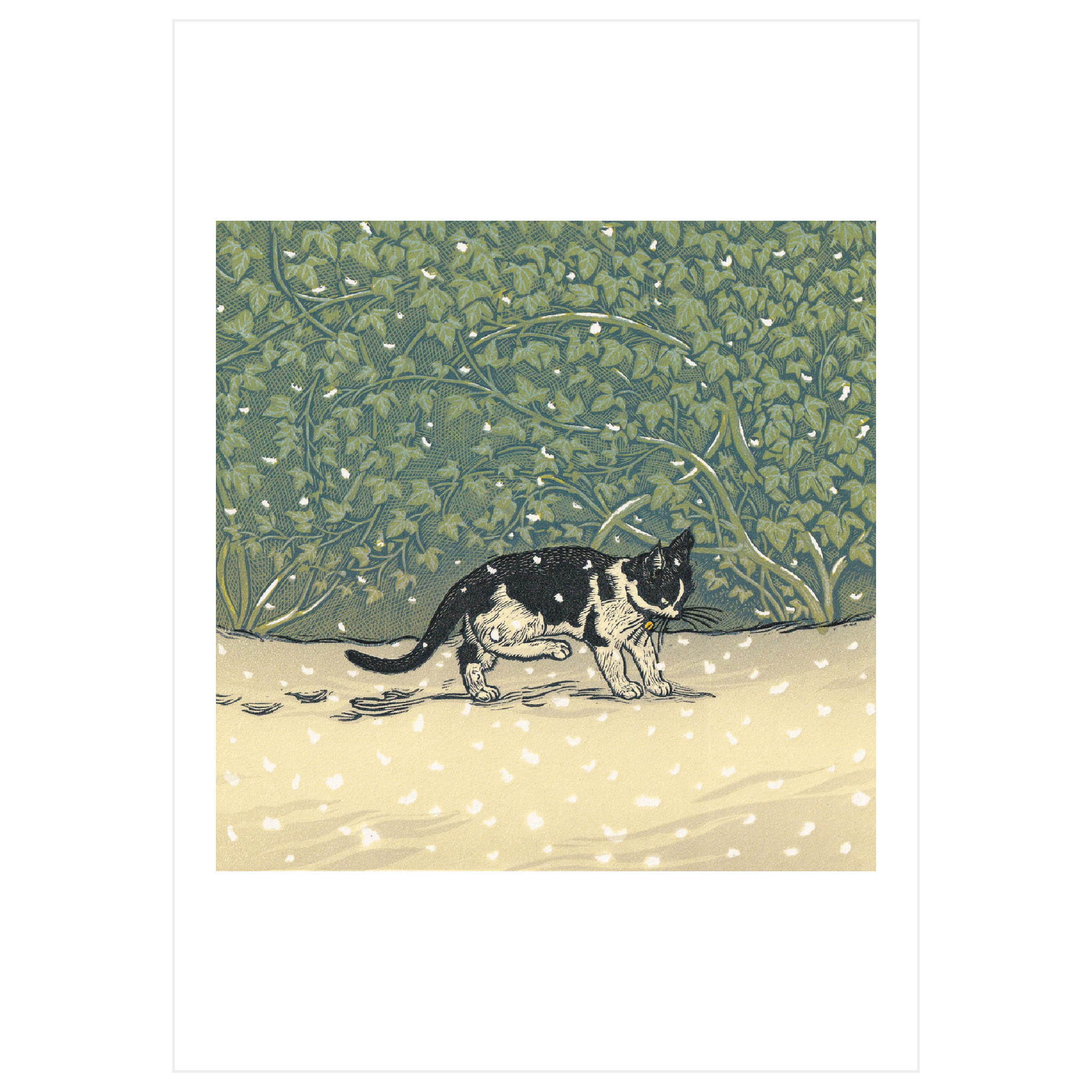 Winter Oak & Minim in the Snow
