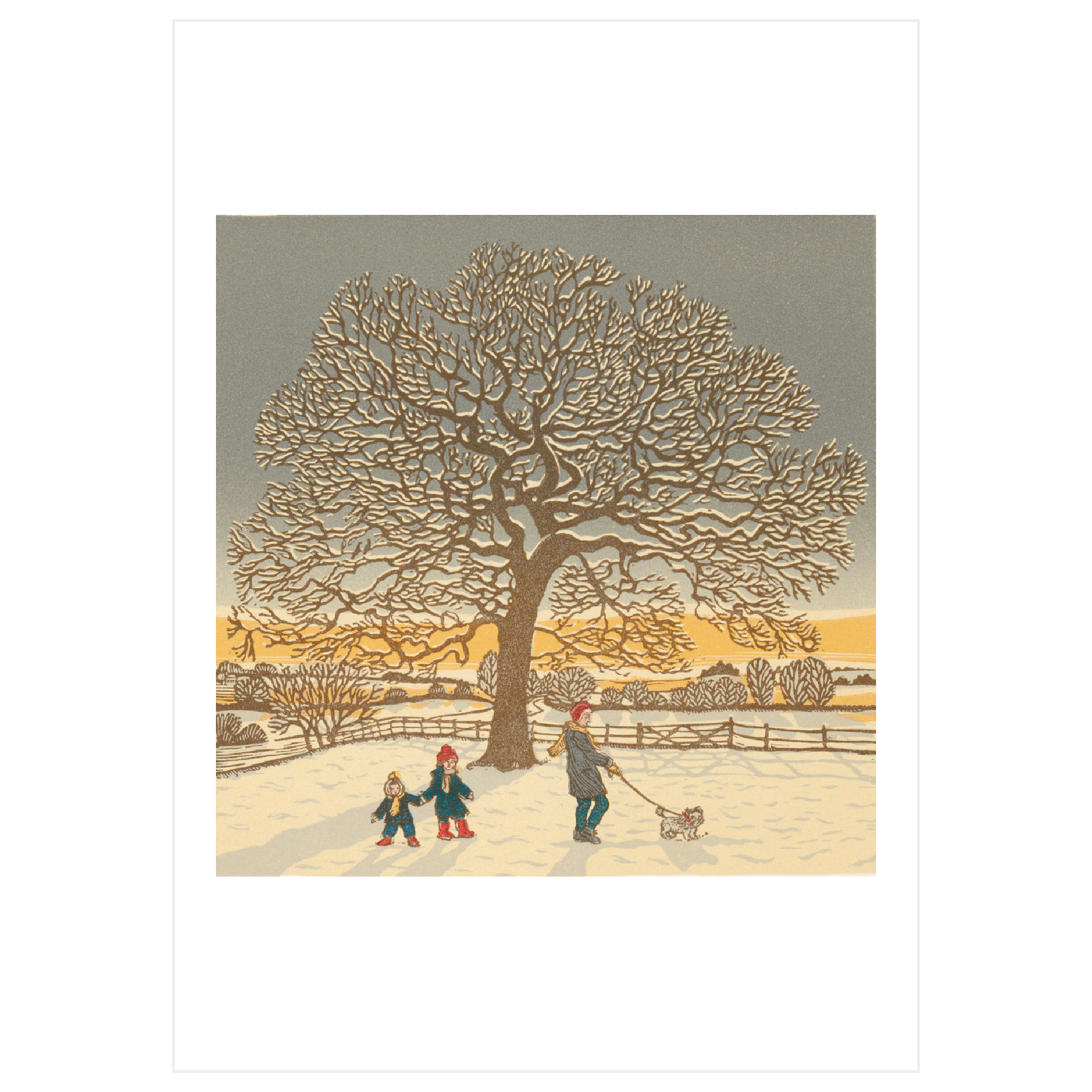 Winter Oak & Minim in the Snow