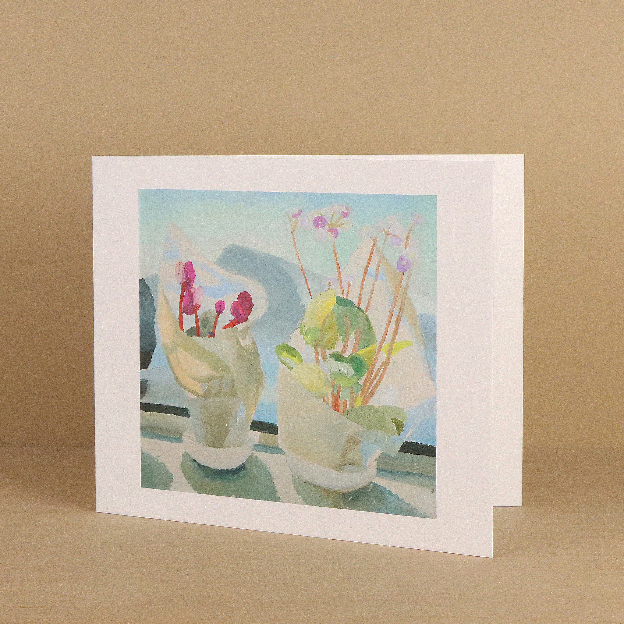 Cyclamen and Primula